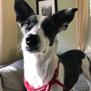 Meet your Posher, Kyna